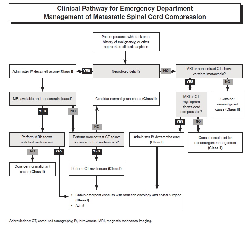 Points and Pearls Digest Managing Oncologic Complications